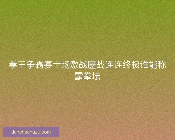 拳王争霸赛十场激战鏖战连连终极谁能称霸拳坛