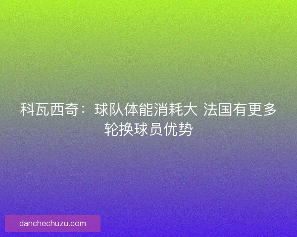 科瓦西奇：球队体能消耗大 法国有更多轮换球员优势