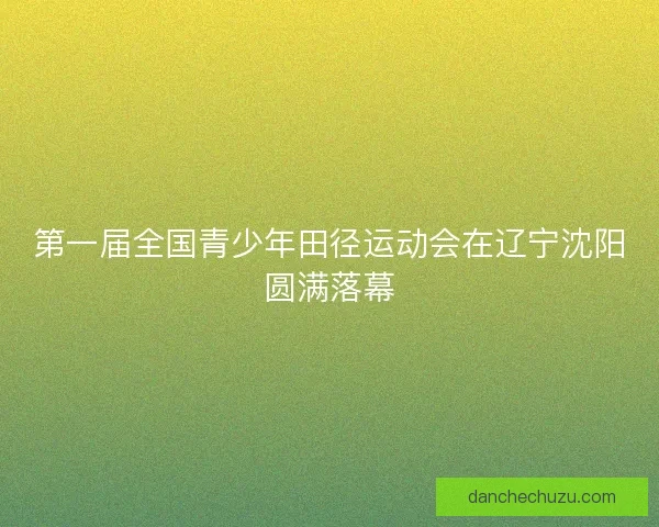 第一届全国青少年田径运动会在辽宁沈阳圆满落幕