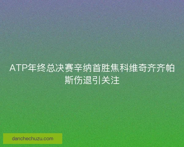 ATP年终总决赛辛纳首胜焦科维奇齐齐帕斯伤退引关注